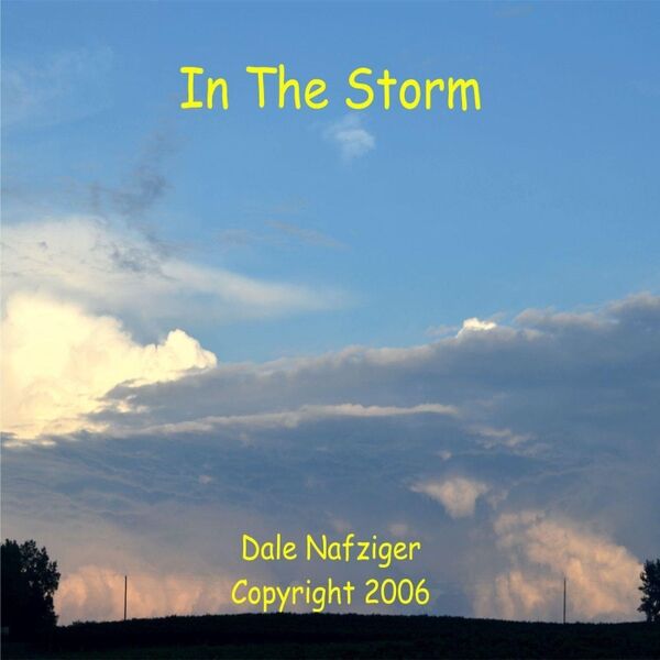 Cover art for In The Storm